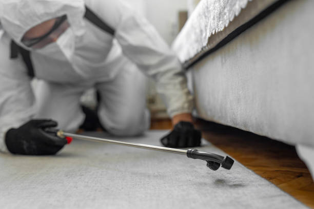 Professional Pest Control technician working in Middlesex County County, VA